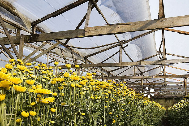 评论：出口文化图片素材