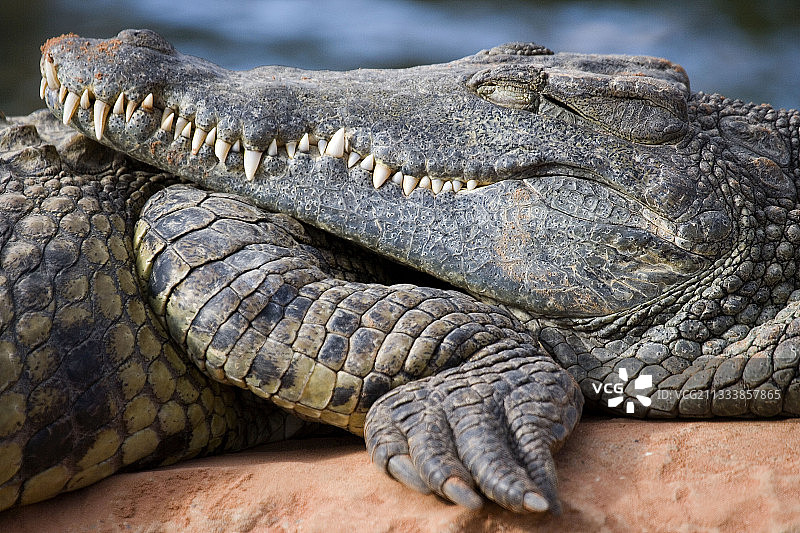 地点：皮埃尔拉特图片素材