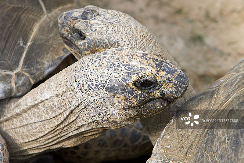 地点：皮埃尔拉特图片素材