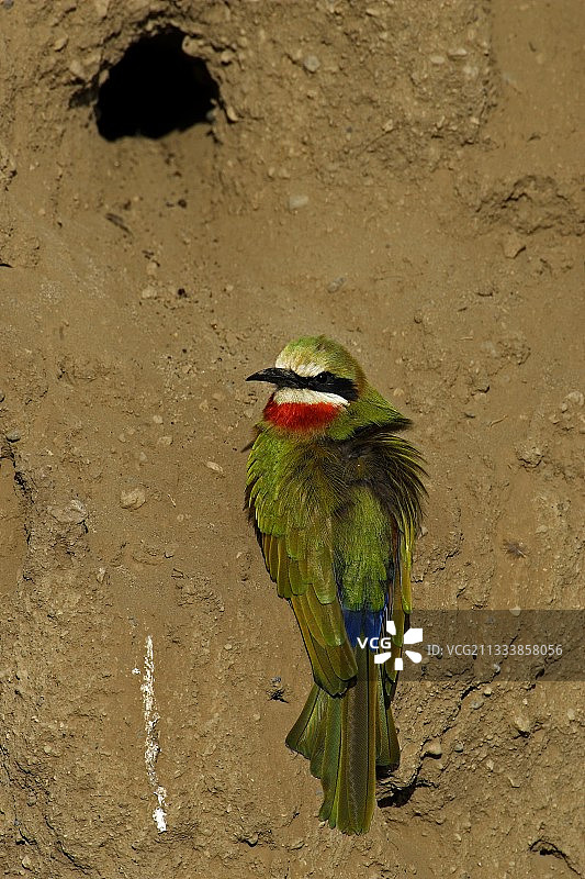 在火山口湖保护区图片素材