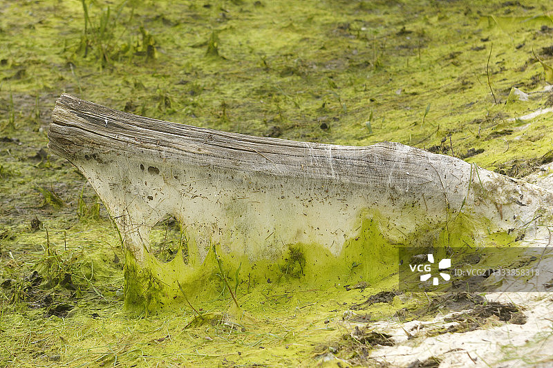 地点：圣尼古拉德布利克图图片素材