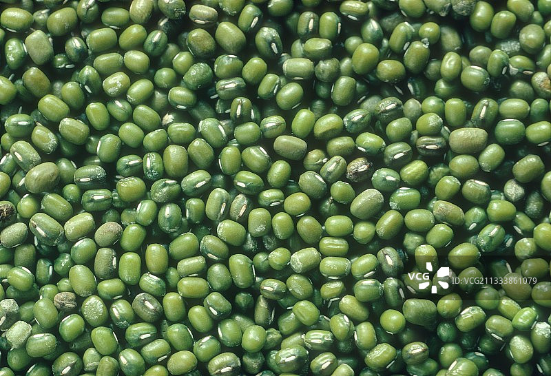 大豆种子图片素材