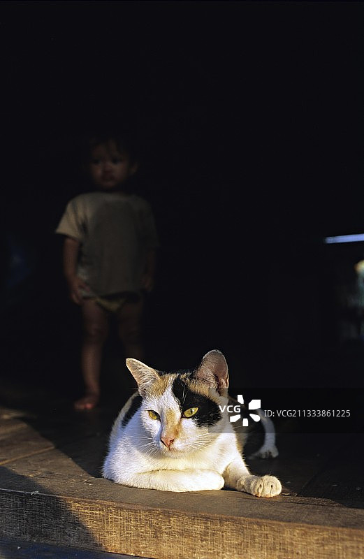 三色母猫与儿童，柬埔寨暹粒图片素材