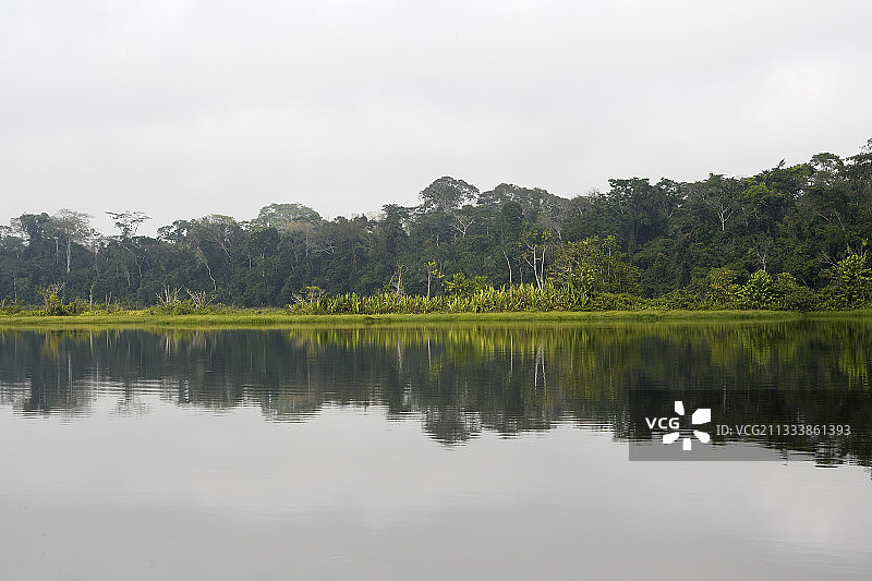 秘鲁科查布兰科湖中倒映的银行和树木图片素材