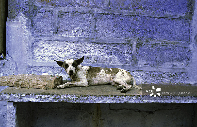 北方邦贝拿勒斯镇土地图片素材