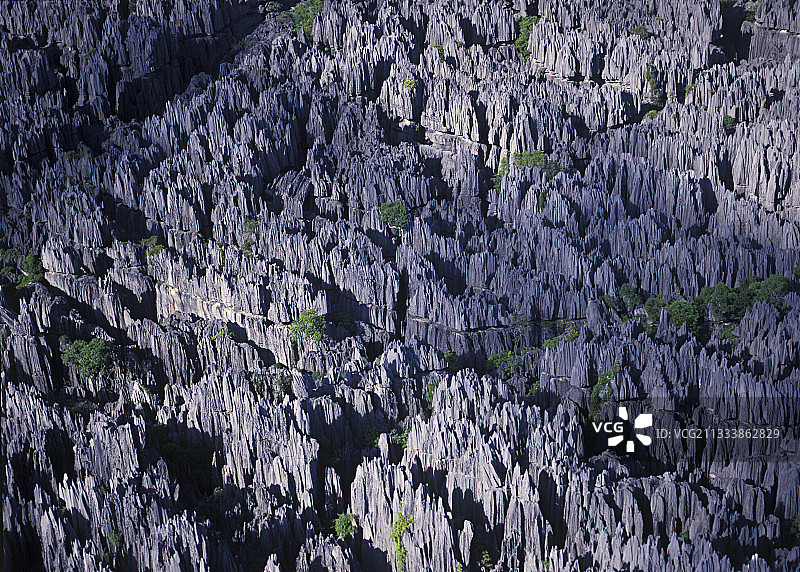 马达加斯加贝马拉哈石林图片素材