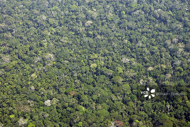 马努秘鲁亚马逊国家公园航拍图片素材