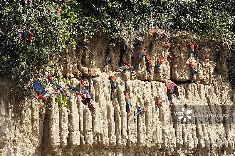 粘土富含矿物盐和抗毒素图片素材