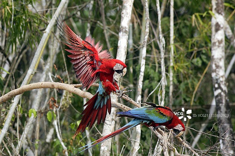 位置：希思河中心图片素材