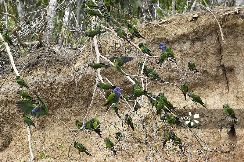 希思河中心位置图片素材
