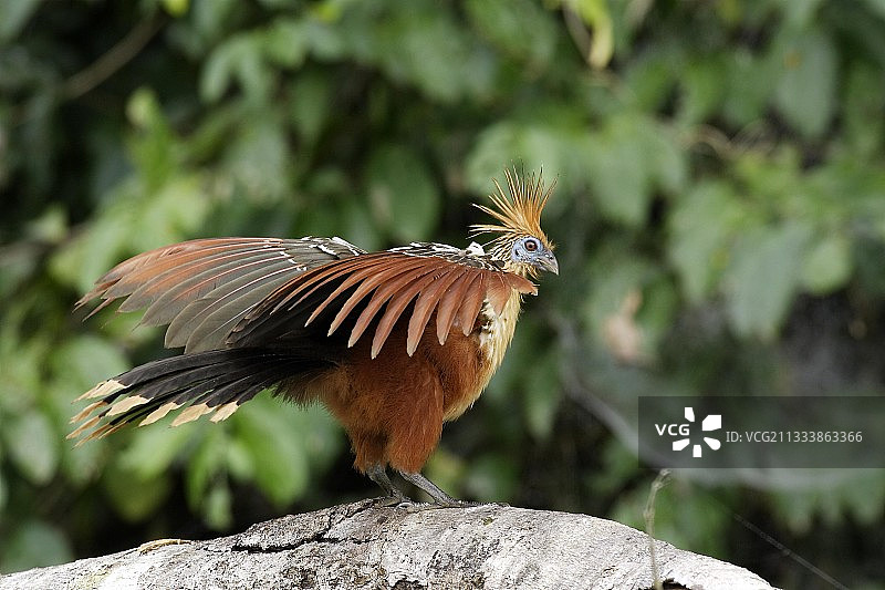 马德雷德迪奥斯河故道图片素材