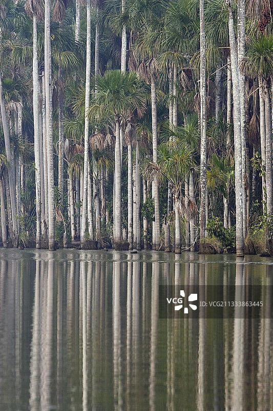 马德雷德迪奥斯河故道图片素材