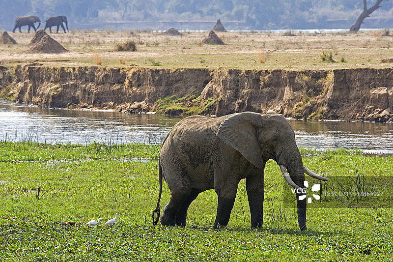 联合国教科文组织“人与生物圈计划”图片素材