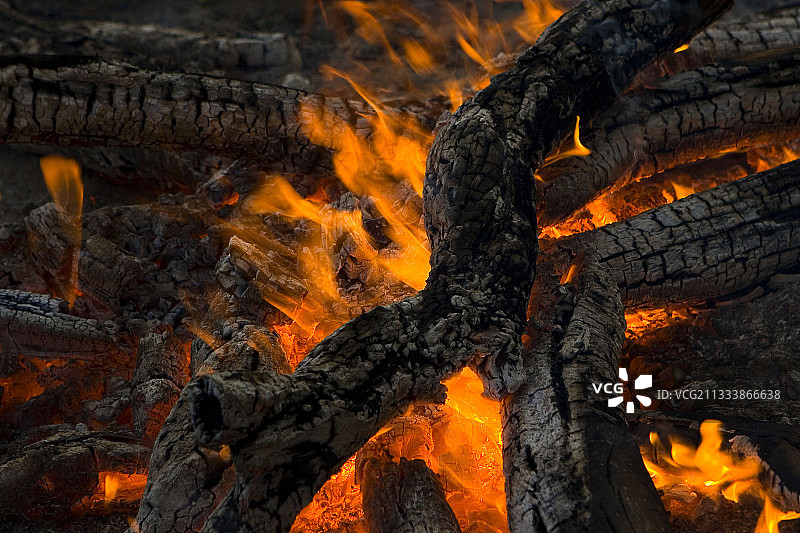 非洲的火焰树枝和余烬图片素材