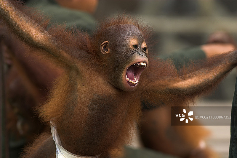 没收婴儿的孤儿院图片素材