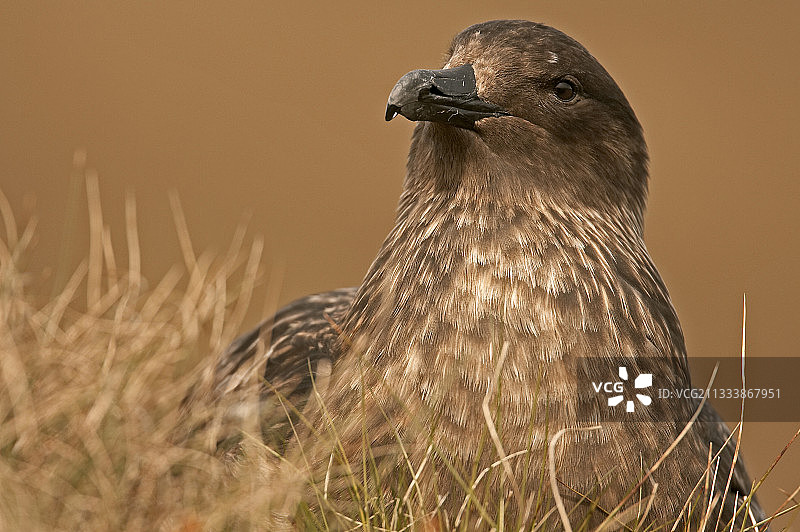 隆德岛位置图片素材
