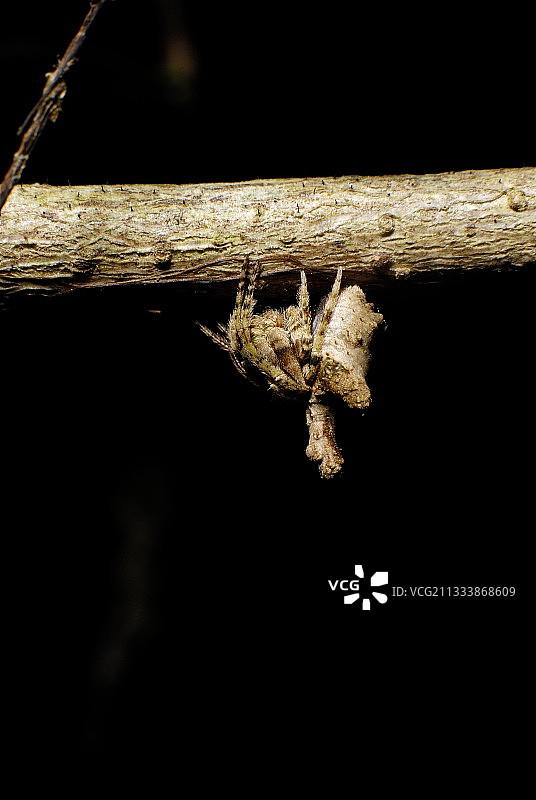 南部省遗址图片素材