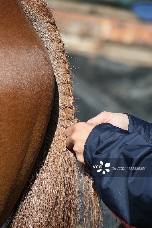 纳斯比纳尔图片素材