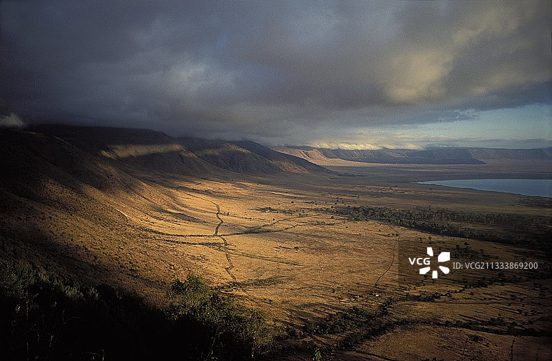 恩戈罗恩戈罗火山口的轨道和饮水处，坦桑尼亚图片素材
