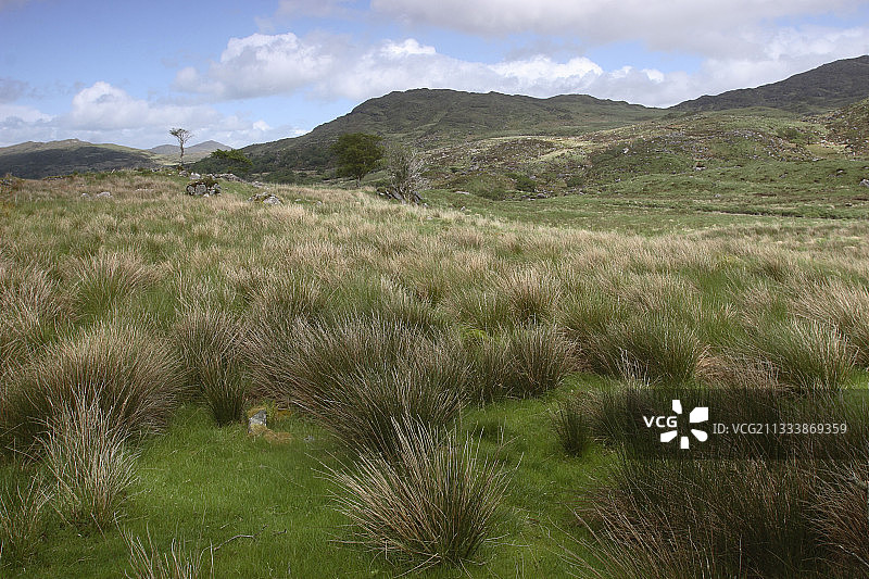 凯里路，艾弗拉半岛，凯里郡图片素材