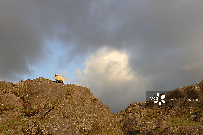 凯里郡贝拉半岛风光图片素材