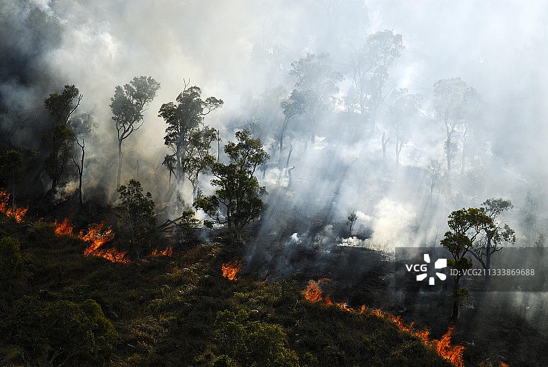 敦比亚图片素材
