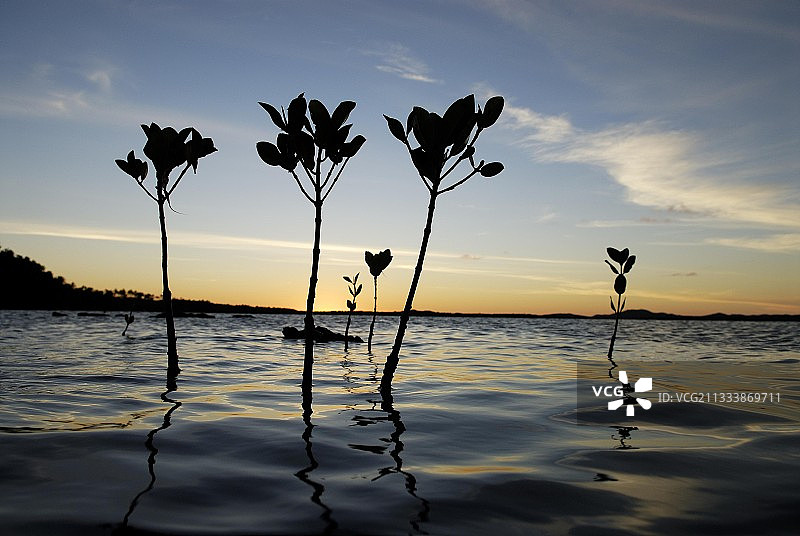 北部省份波英甘镇附近的场地：东海岸图片素材