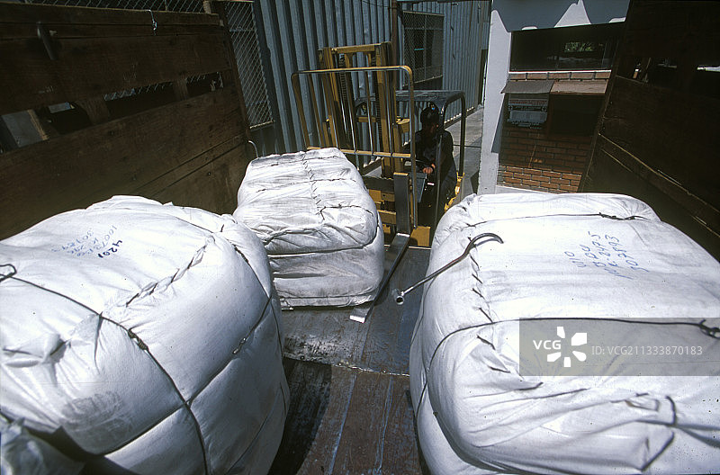 骆马：价值连城的羊驼图片素材