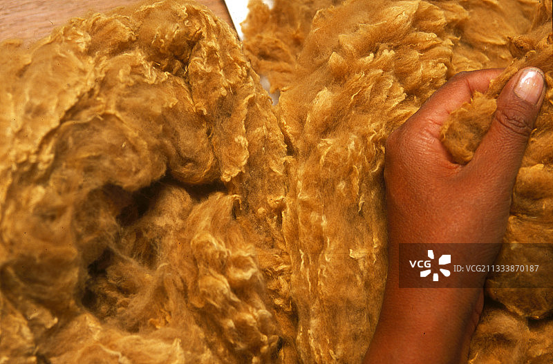 骆马：价值连城的羊驼图片素材