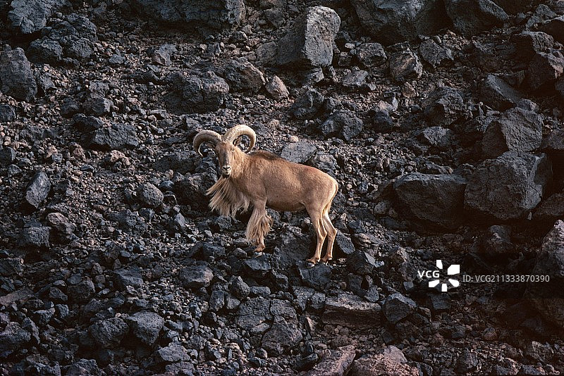 艾尔高原风光图片素材