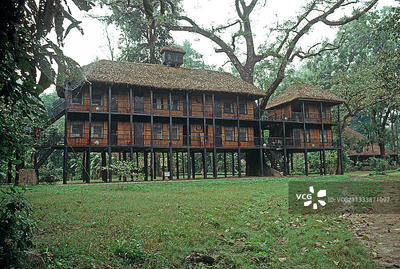 尼泊尔奇特旺国家公园的老虎峰丛林旅馆图片素材