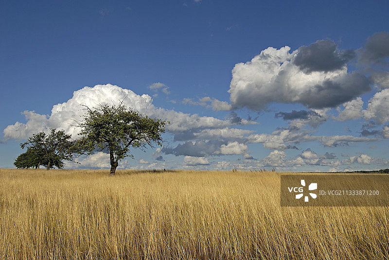 布罗尼阿德高原图片素材