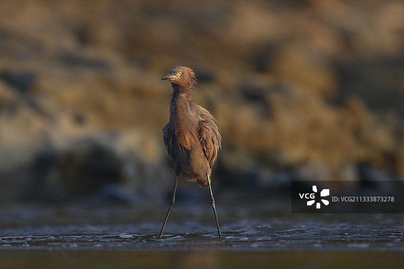 里瓦斯省的地点图片素材