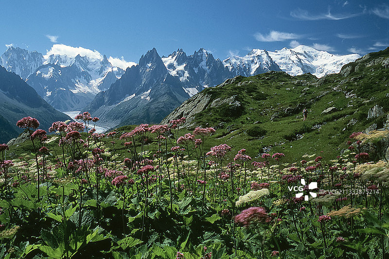红针峰南面的壮丽阳台图片素材