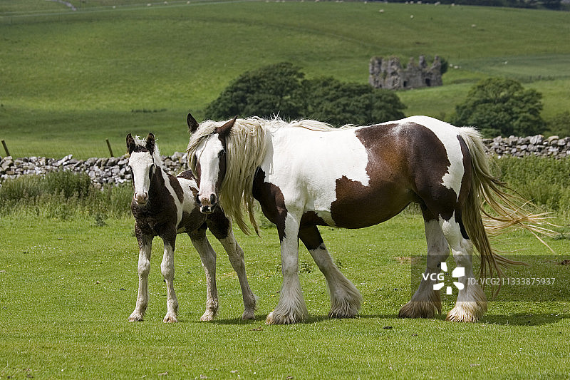 北约克郡沼泽地图片素材