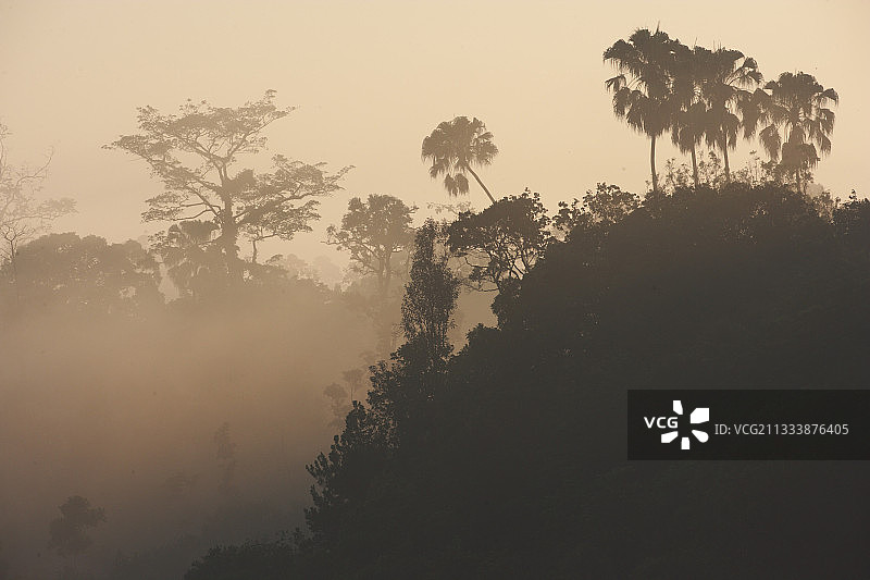 苏门答腊 Way Kambas 国家公园的日出，印度尼西亚图片素材