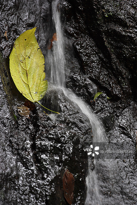 印度尼西亚苏门答腊岛马宁焦湖瀑布周边图片素材