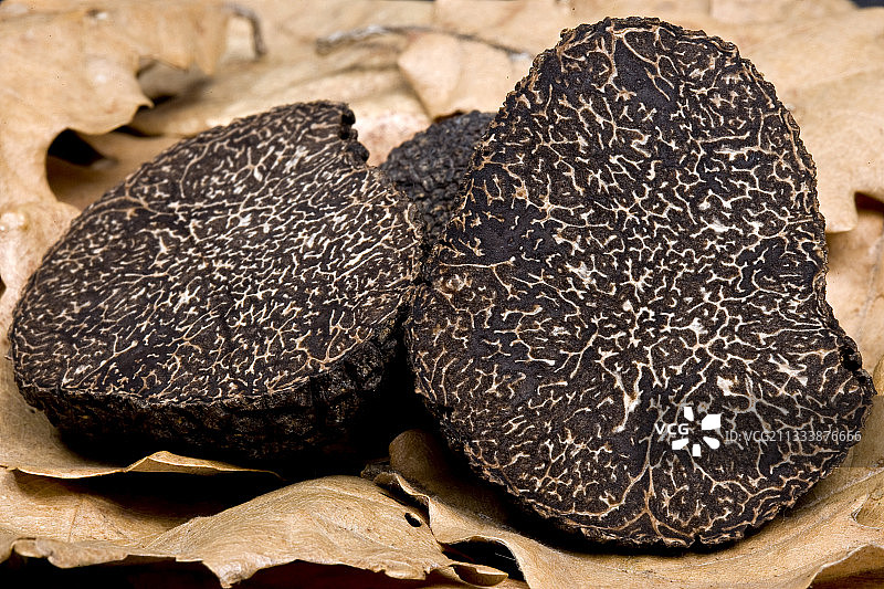 黑松露图片素材