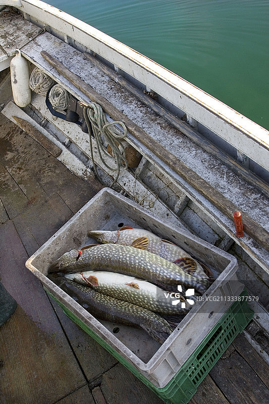 在旧木船上专业捕鱼图片素材