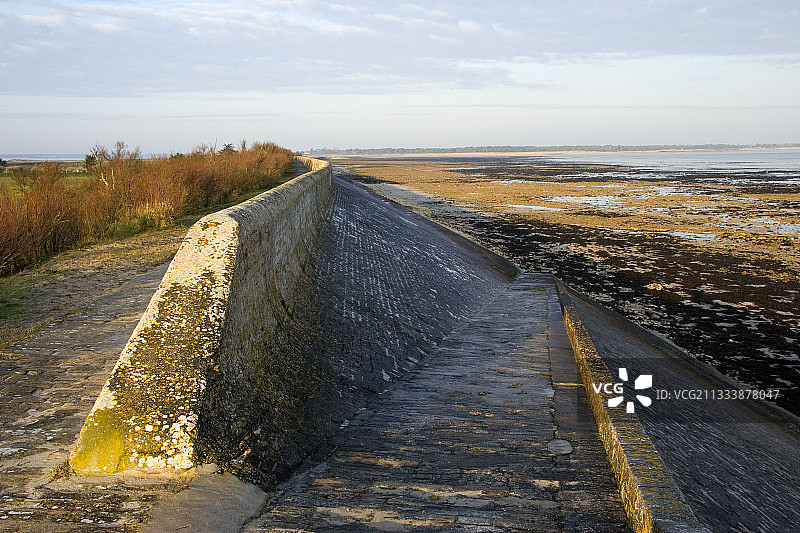 保护滨海雷岛卢瓦昂雷法国的堤坝图片素材