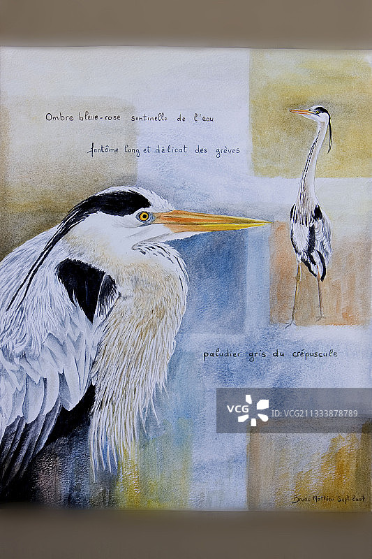 丙烯颜料绘画技巧 - 作者：Bruno Mathieu图片素材