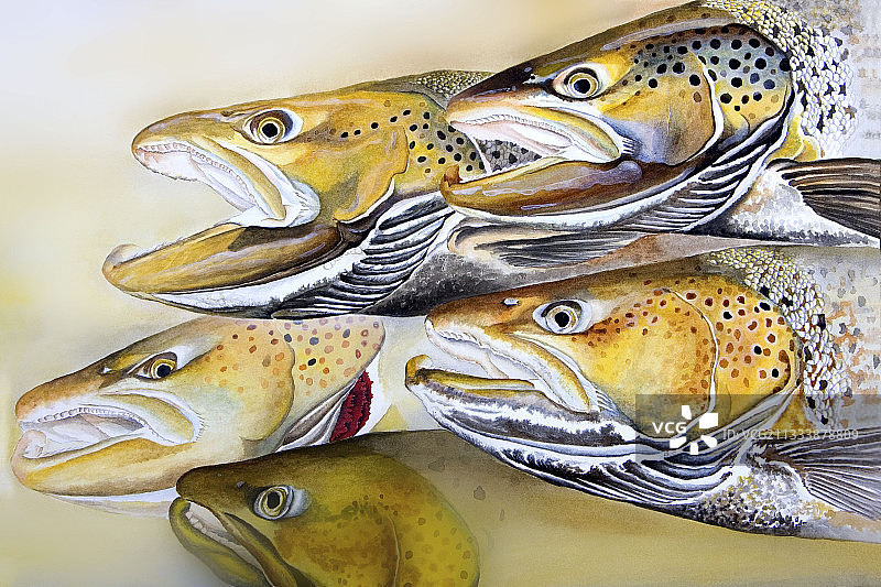 丙烯颜料技巧：作者：布鲁诺·马蒂厄图片素材