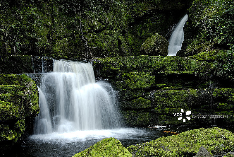 奥塔哥地区的卡特林斯图片素材