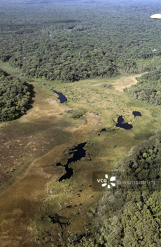 法属圭亚那伊伊湿地的航拍照片图片素材
