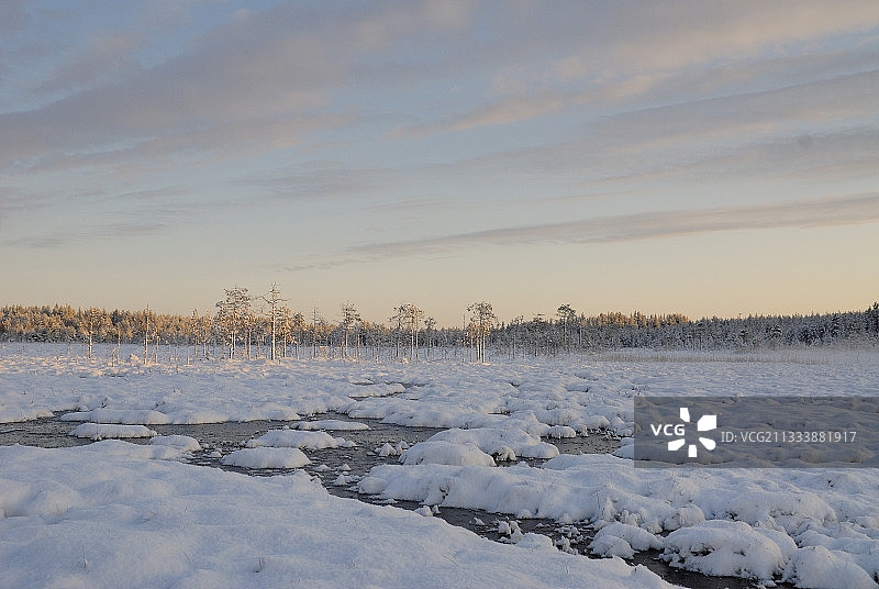 芬兰泰加林区的冰冻湖面图片素材