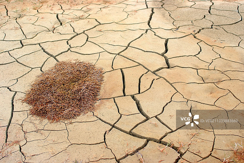 加拿大巴瑟斯特岛上开裂的土地图片素材