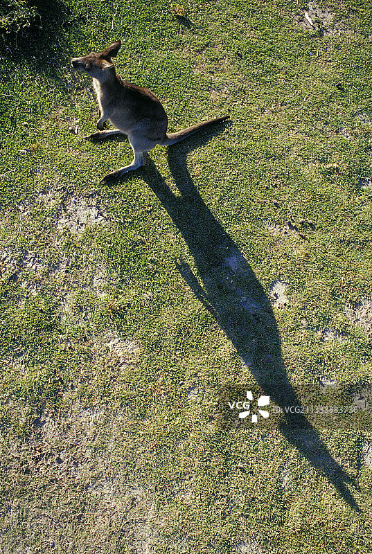 鹅卵石海滩图片素材