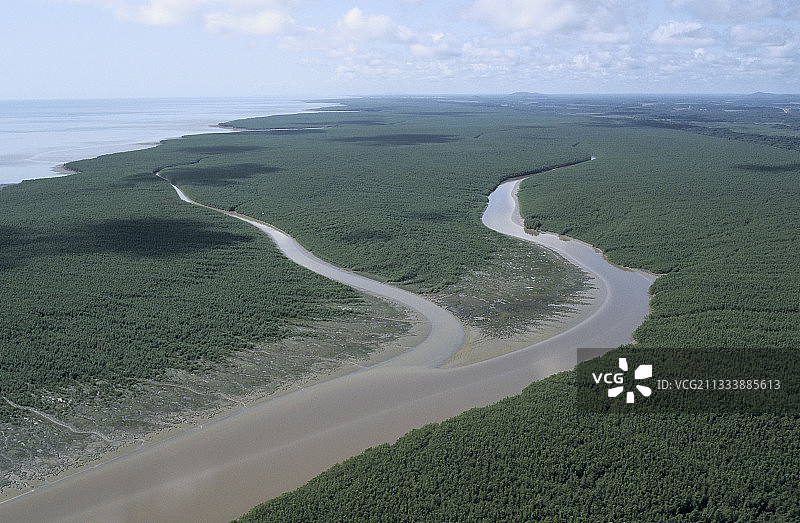 法属圭亚那卡鲁阿博河口的航拍镜头图片素材