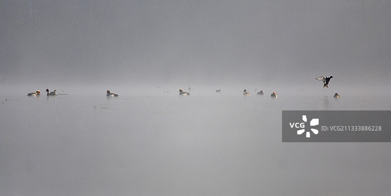 栋布是冰碛高原，以众多人工池塘为标志图片素材