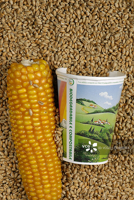 一次性塑料蔬菜玉米杯图片素材